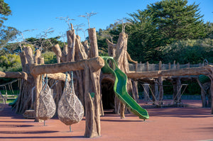 Elinor Friend Playground at the San Francisco Zoo