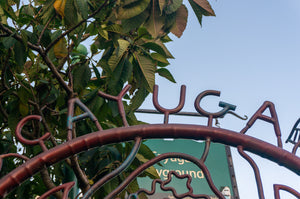 cayuga park gate san francisco